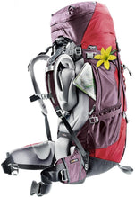 Load image into Gallery viewer, Deuter 60 + 10 SL Backpack (Women&#39;s) - Coozie Gear